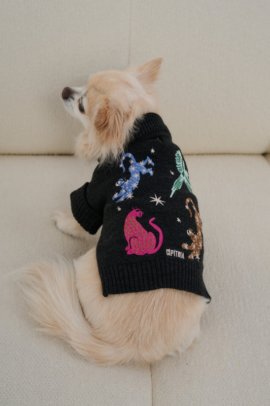 SWEATER BELL