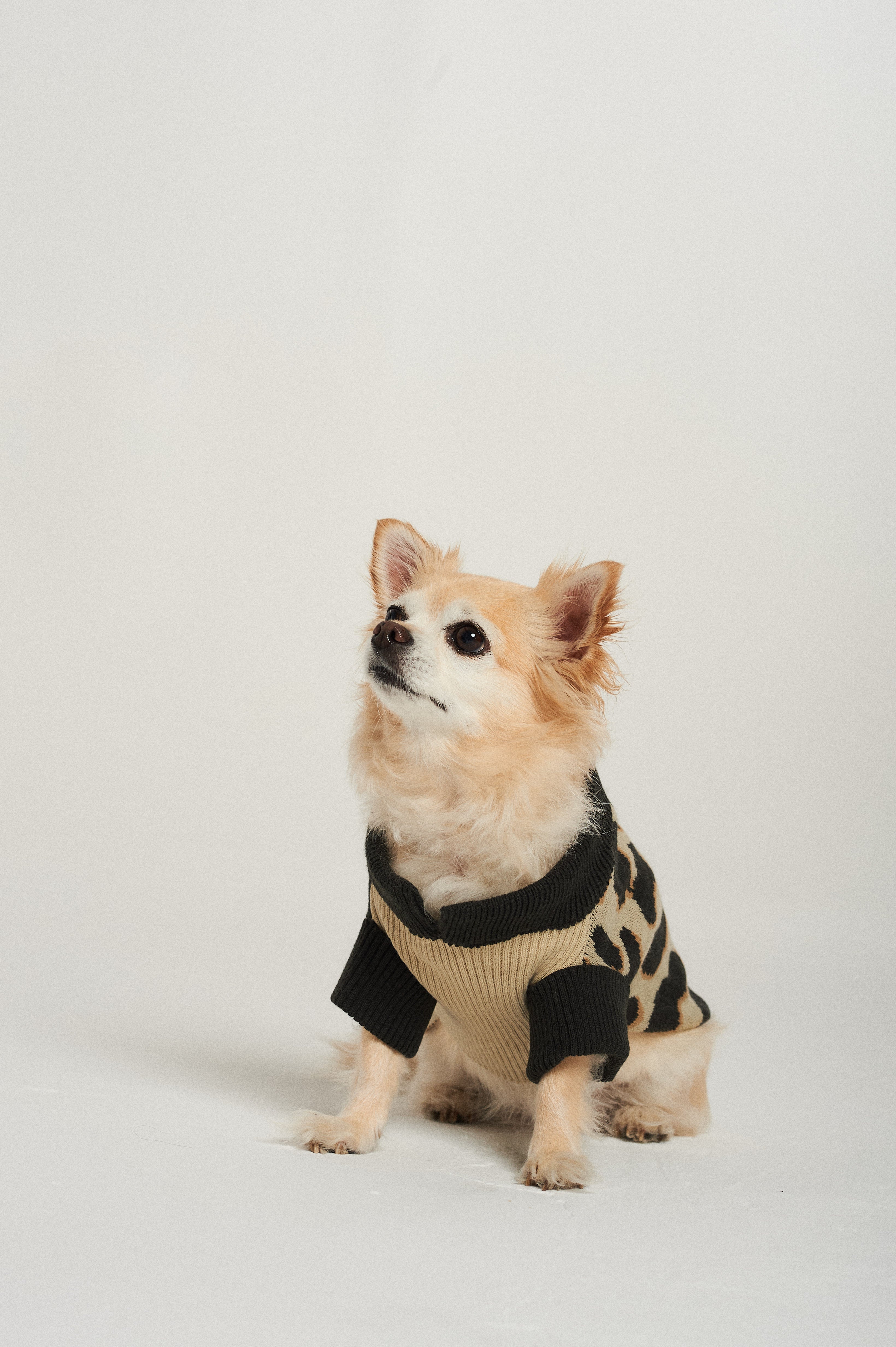 SWEATER ABBY