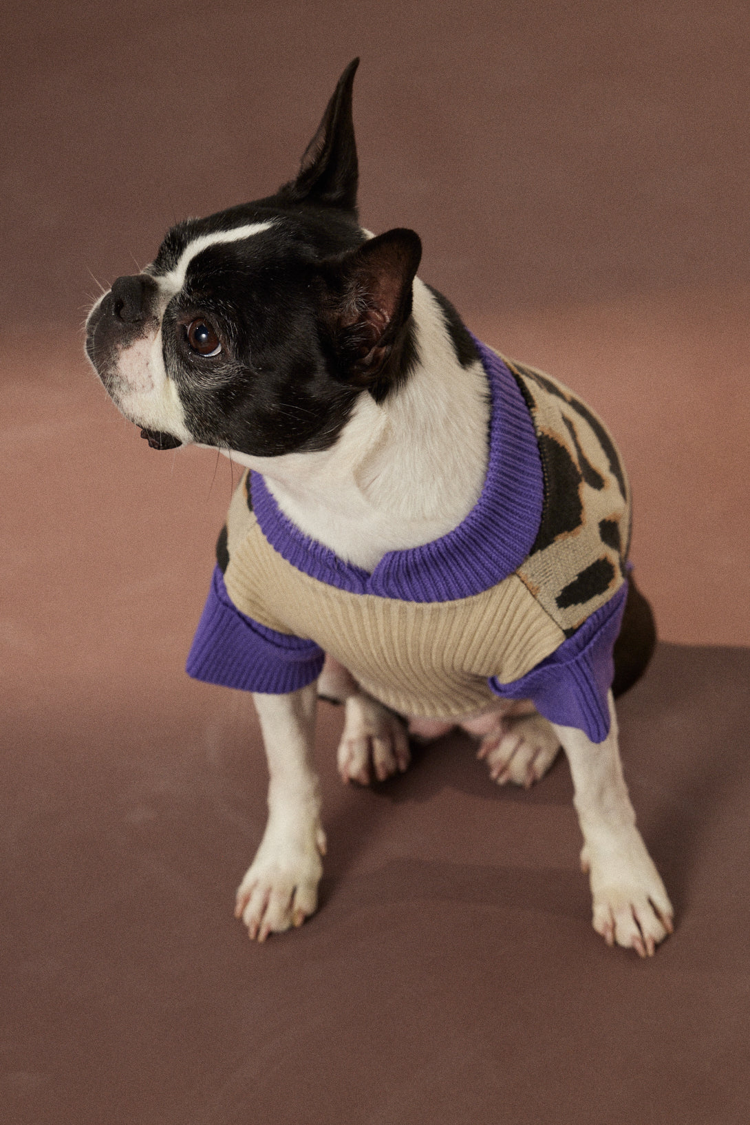 SWEATER ABBY
