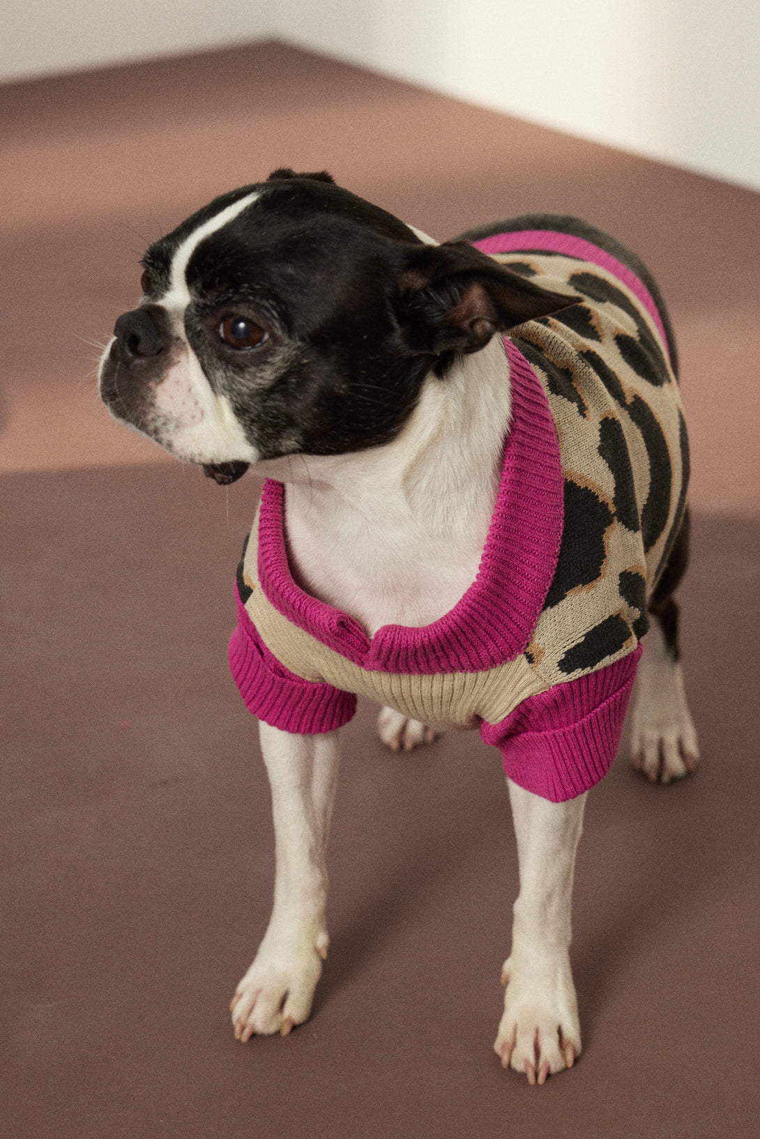 SWEATER ABBY