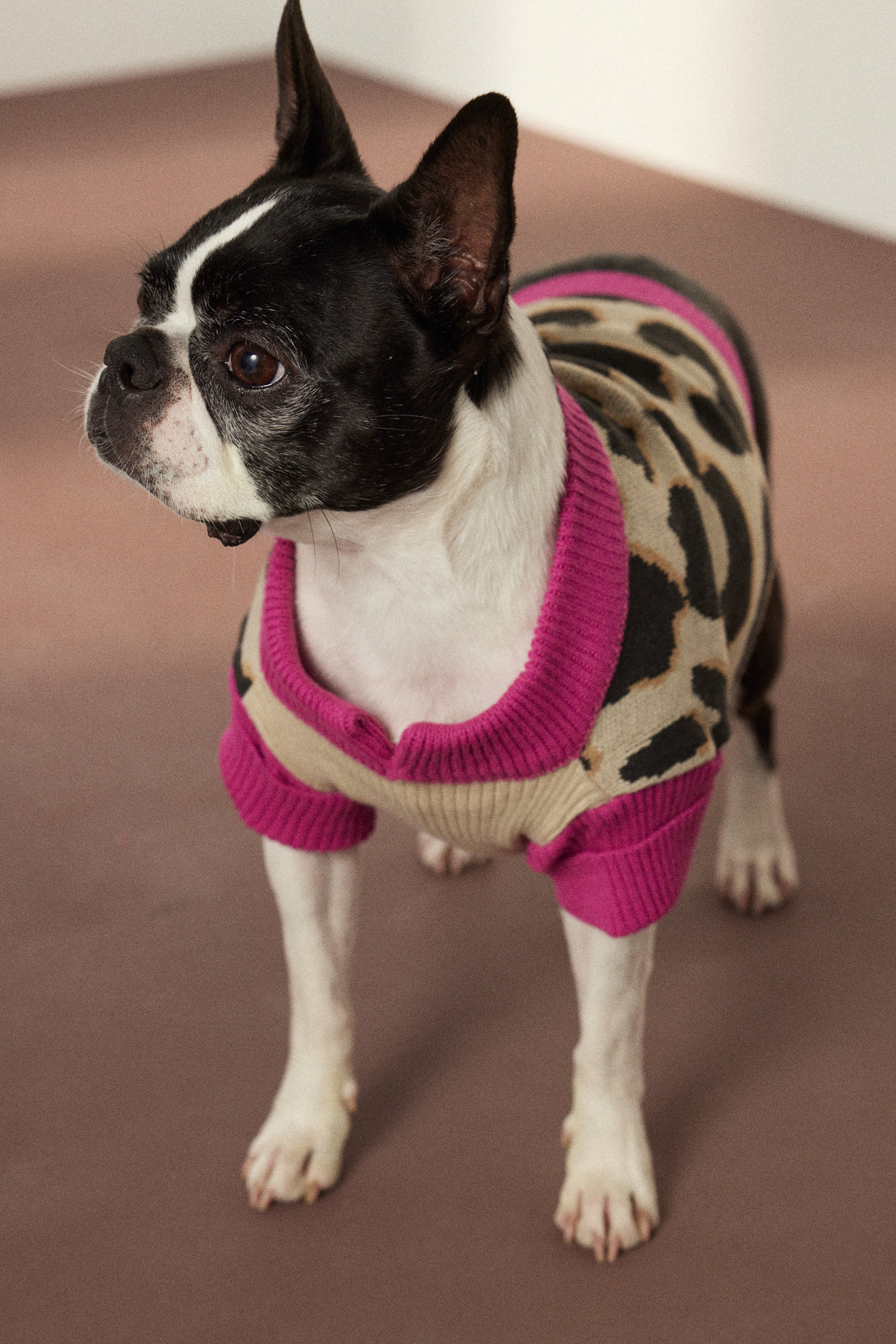 SWEATER ABBY