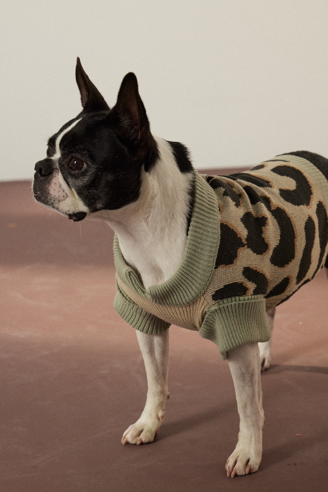 SWEATER ABBY