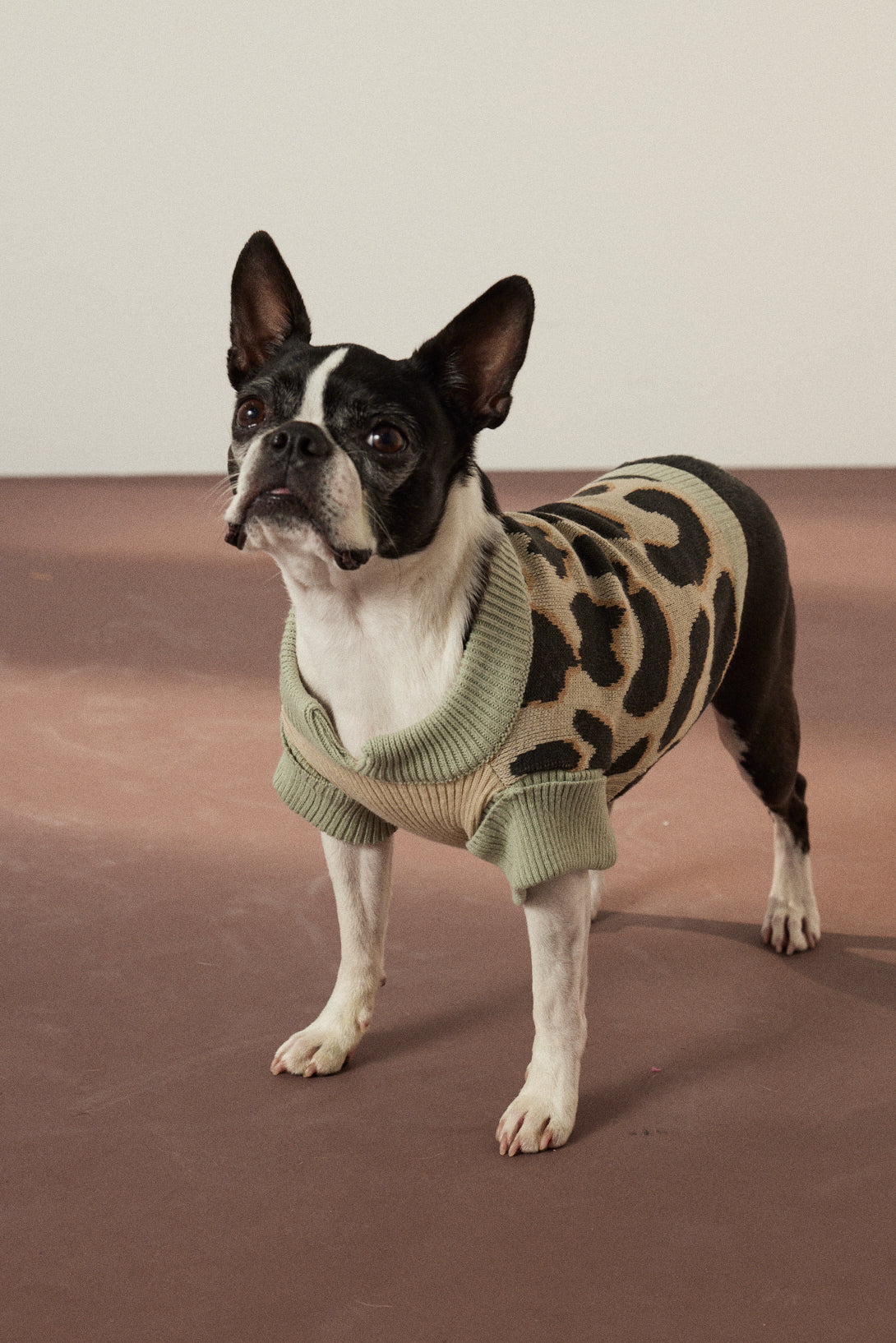 SWEATER ABBY