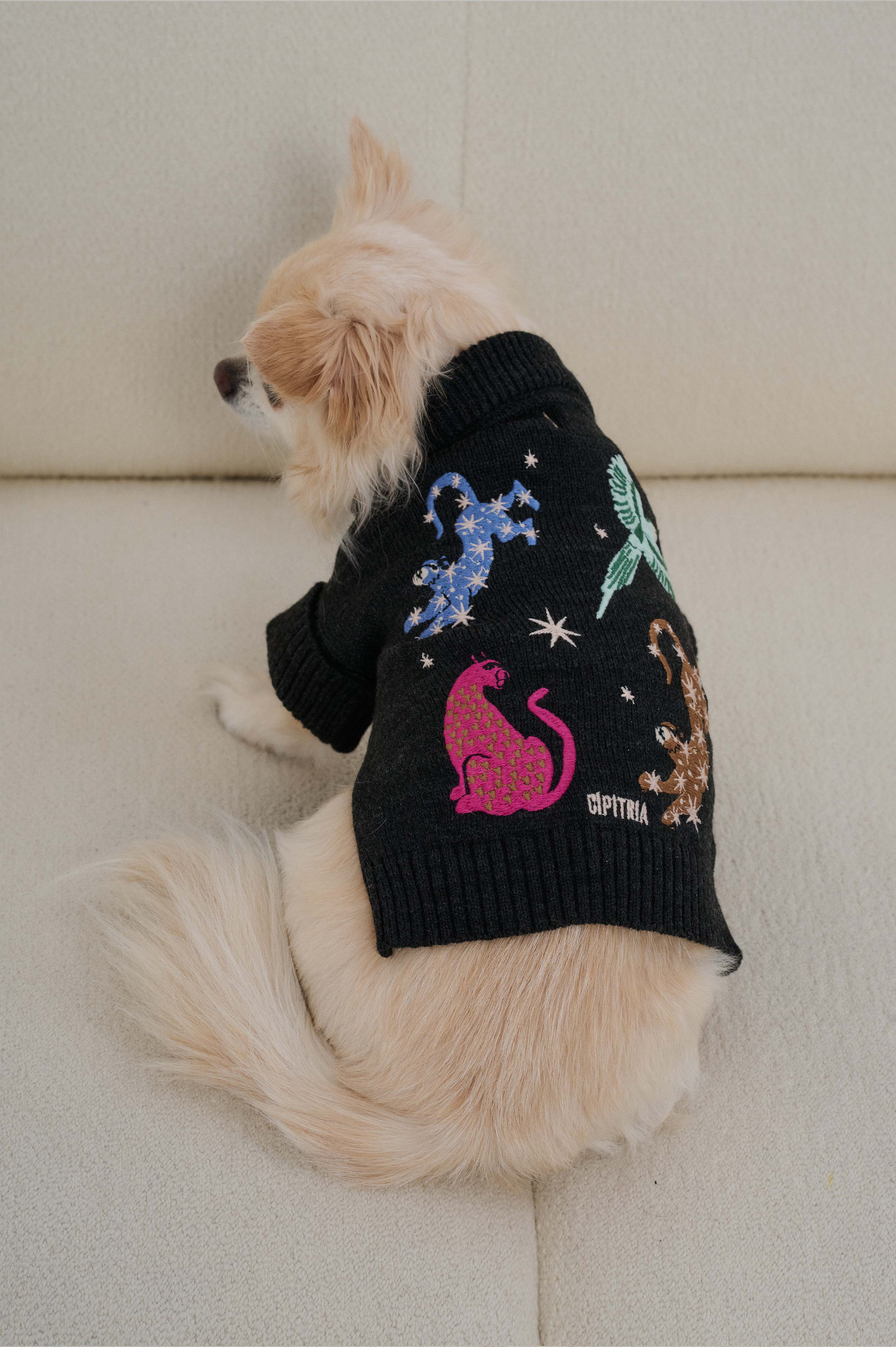 SWEATER BELL