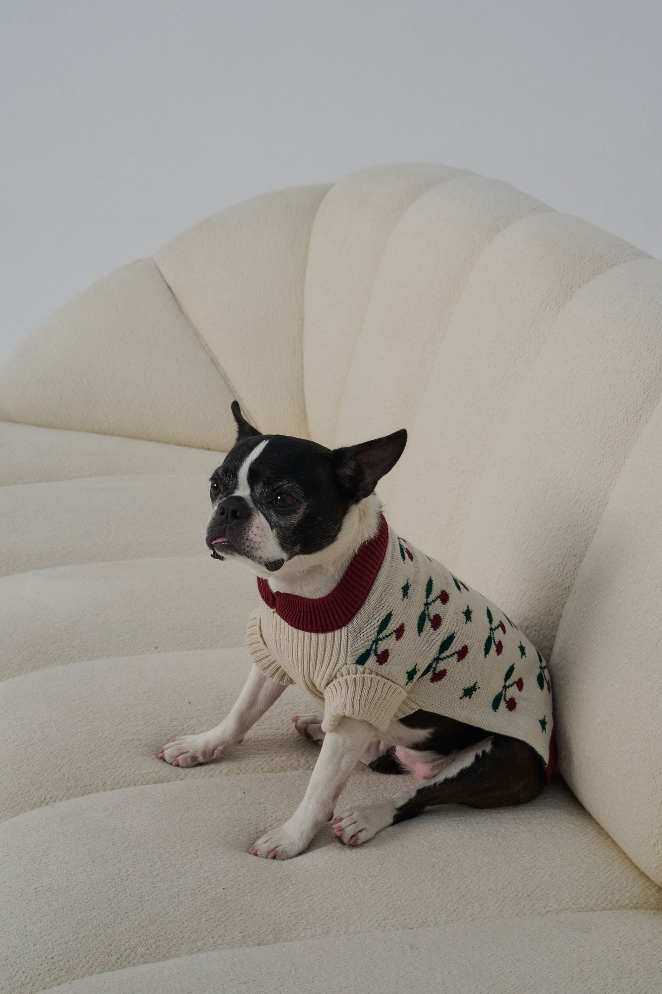 SWEATER CHERRY