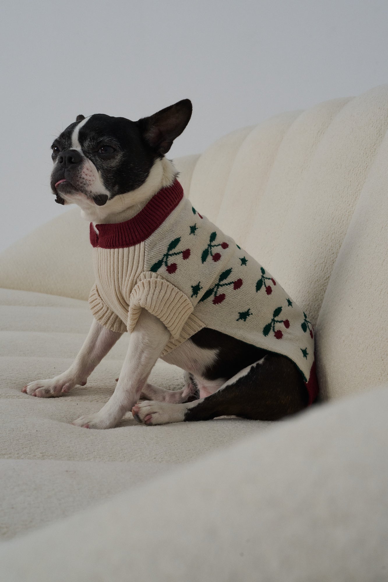SWEATER CHERRY