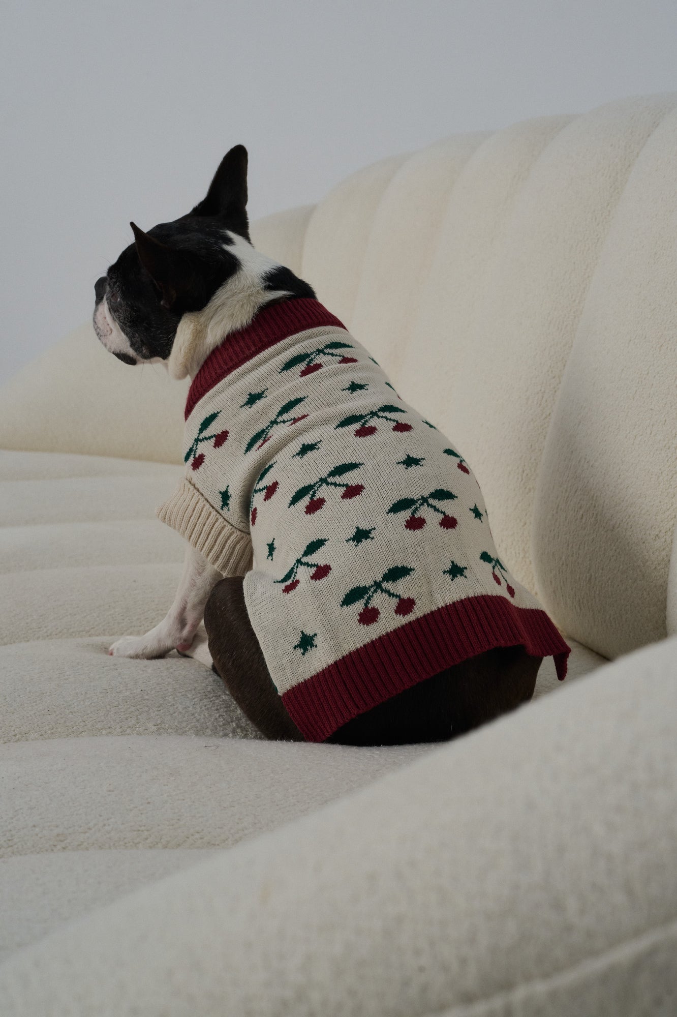 SWEATER CHERRY