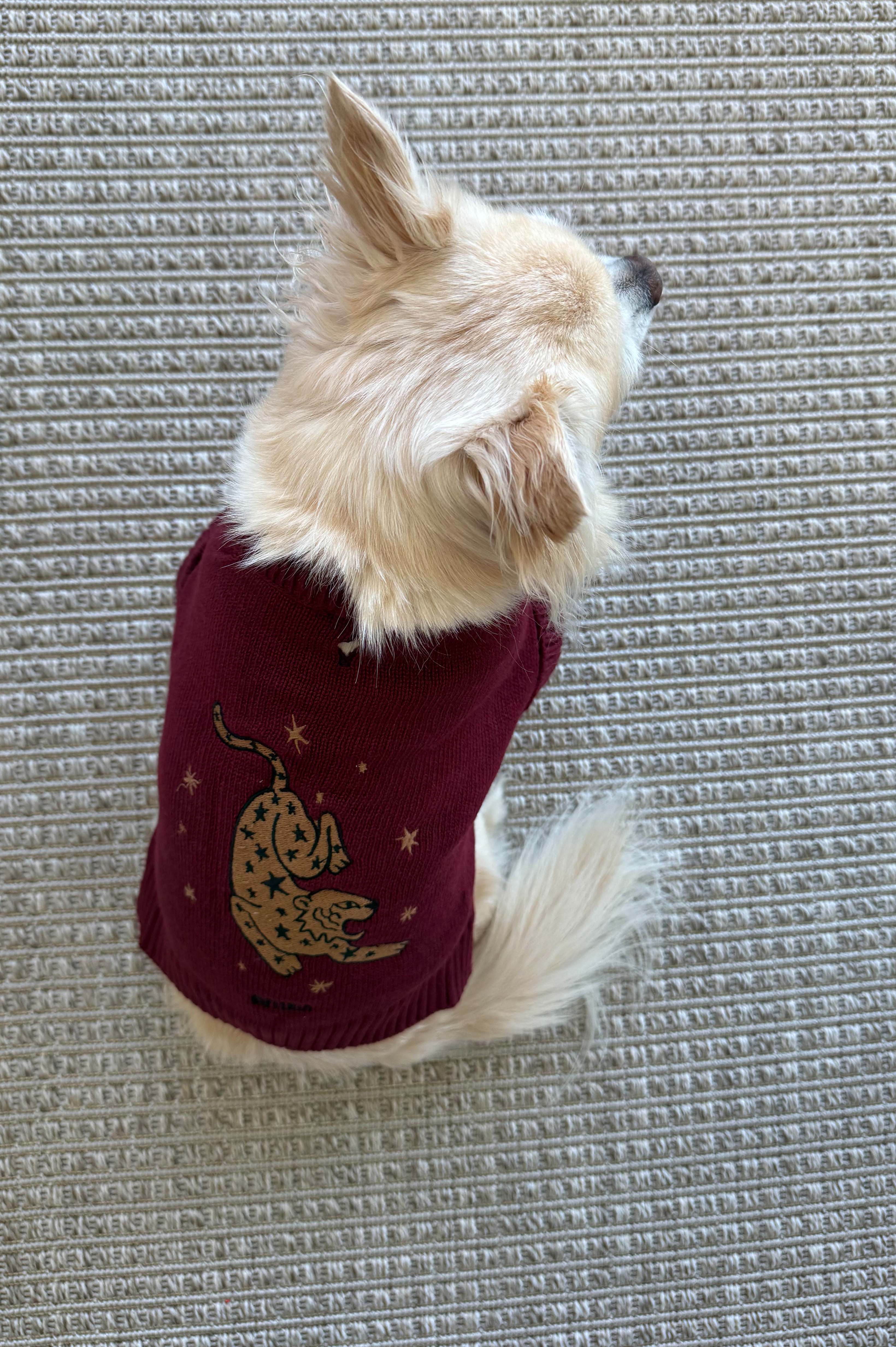SWEATER KENIA
